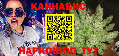 индика Мариинск