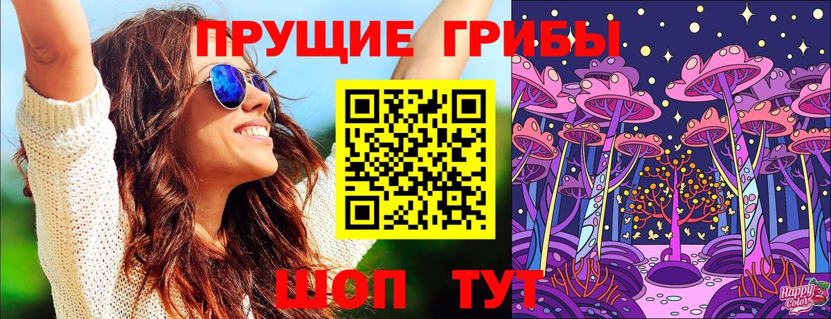 дарнет шоп  Вход с VPN  Ульяновск  Псилоцибиновые грибы GOLDEN TEACHER 